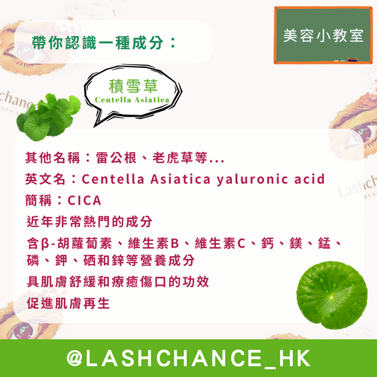 美容小教室 帶你認識一種成分:積雪草