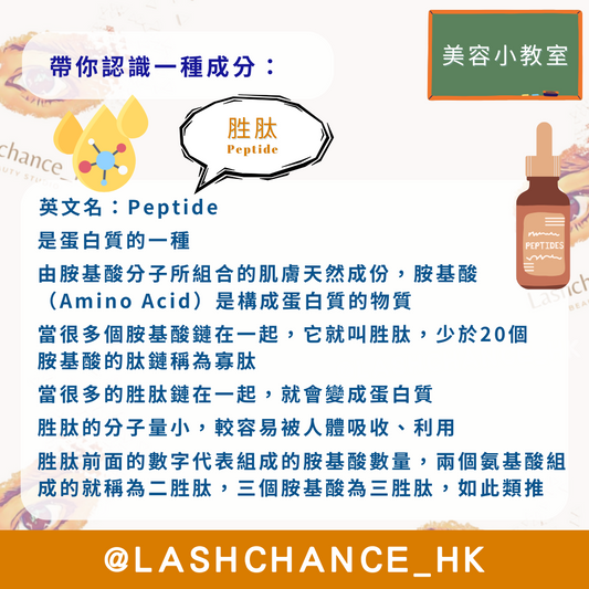 美容小教室 帶你認識一種成分:胜肽
