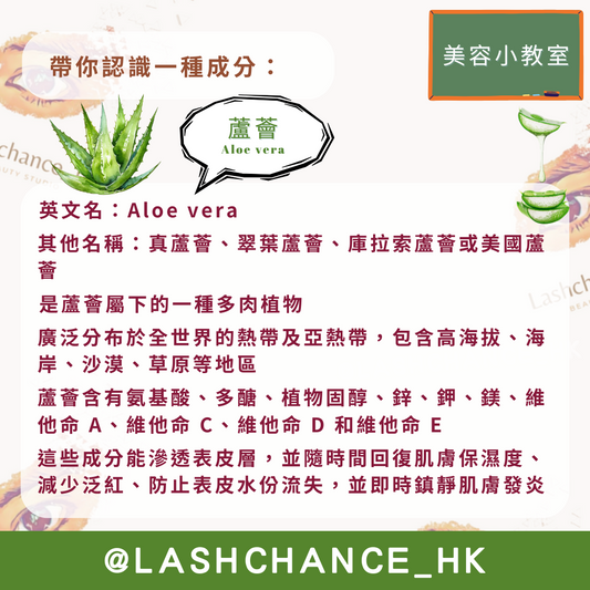 美容小教室 帶你認識一種成分:蘆薈