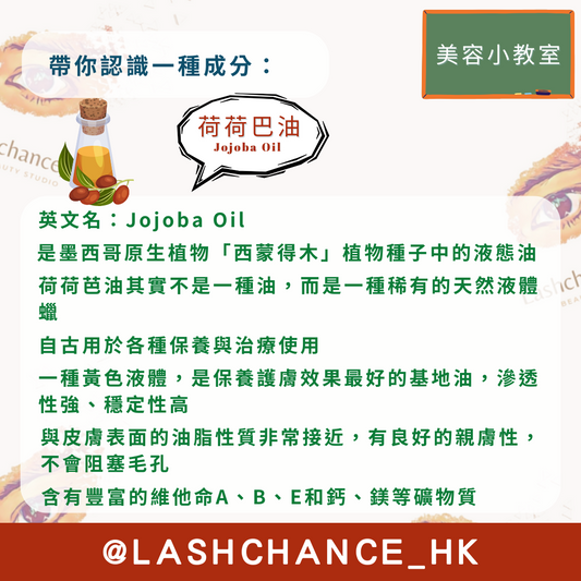 美容小教室 帶你認識一種成分:荷荷巴油