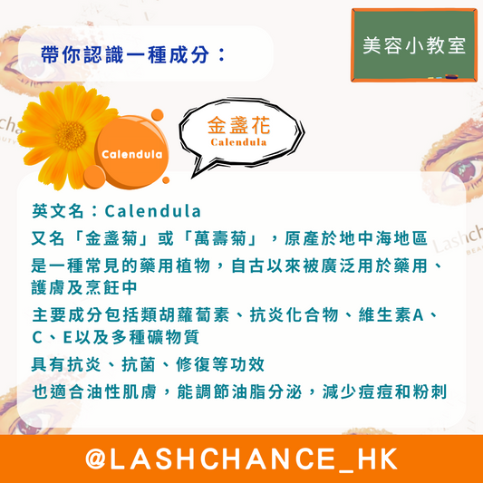 美容小教室 帶你認識一種成分:金盞花