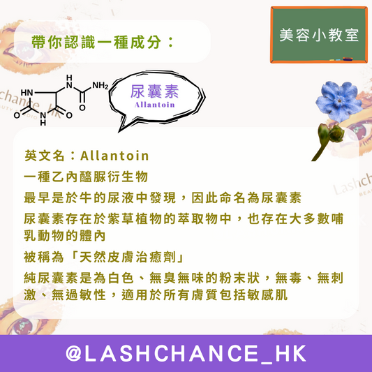 美容小教室 帶你認識一種成分:尿囊素