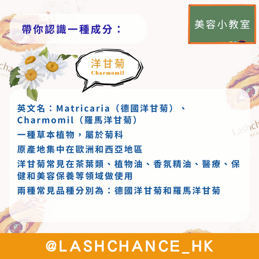 美容小教室 帶你認識一種成分:洋甘菊