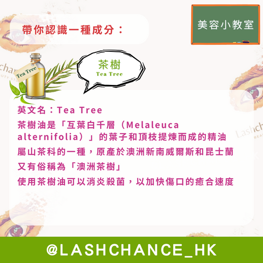 美容小教室 帶你認識一種成分:茶樹