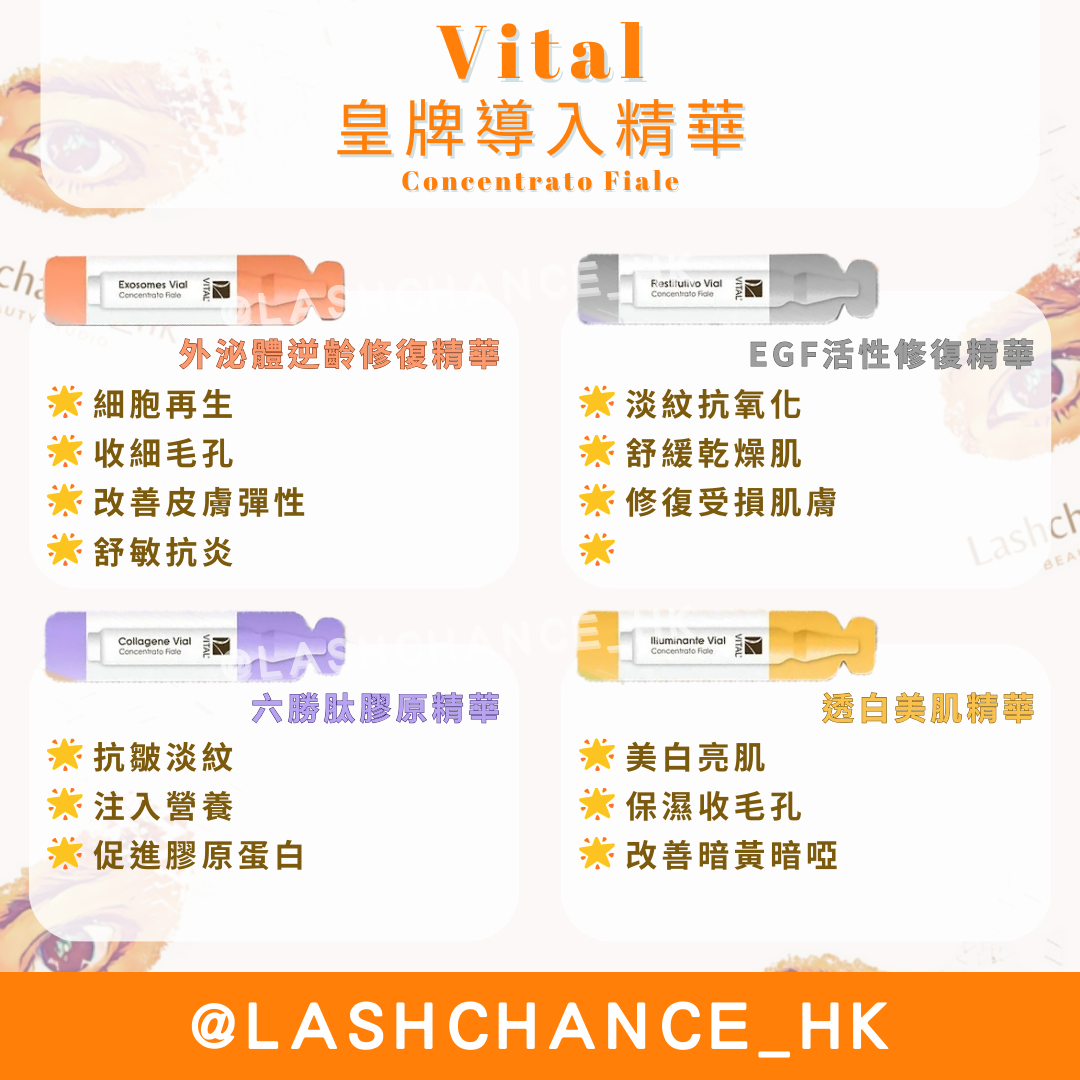 B.L.V Vital 皇牌導入精華 Concentrato Fiale 12支裝 ❗️新包裝❗️