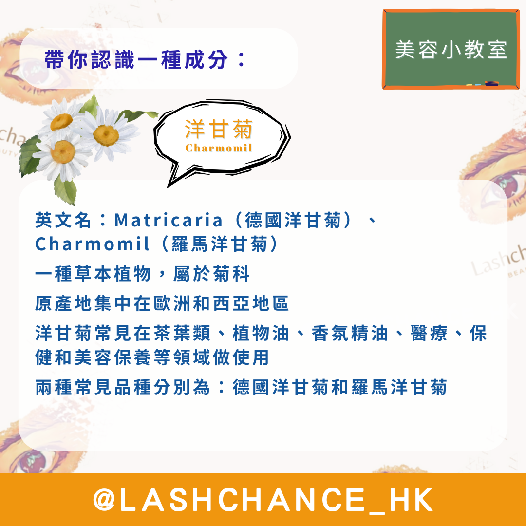 美容小教室 帶你認識一種成分：洋甘菊