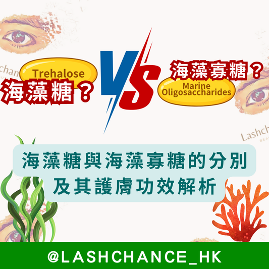 海藻糖 VS 海藻寡糖：海藻糖與海藻寡糖的分別及其護膚功效解析
