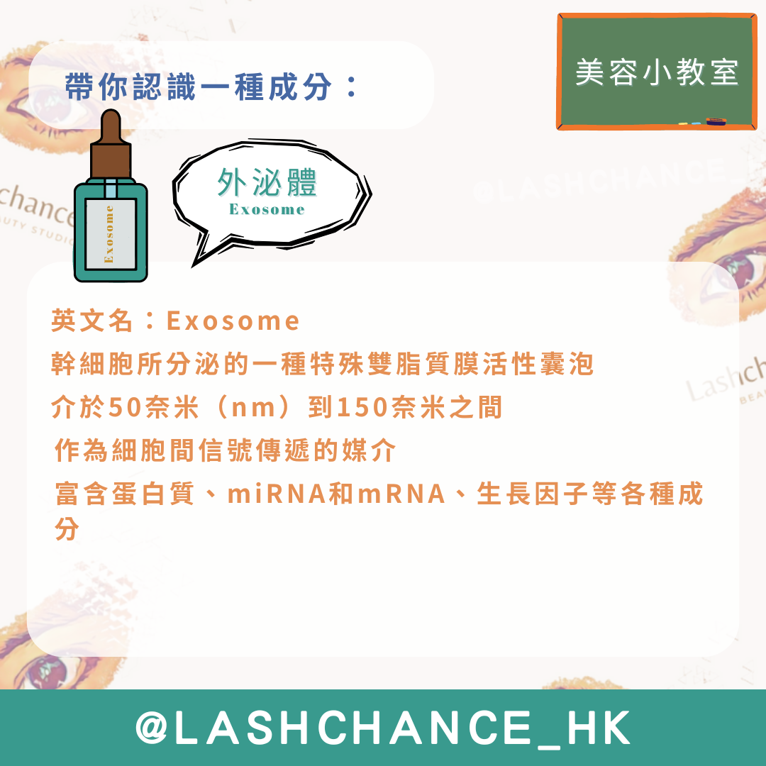 外泌體