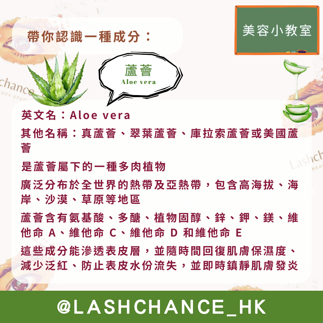 蘆薈