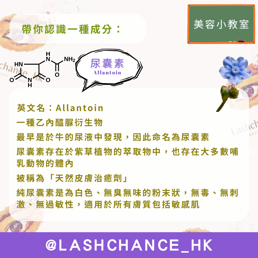 尿囊素