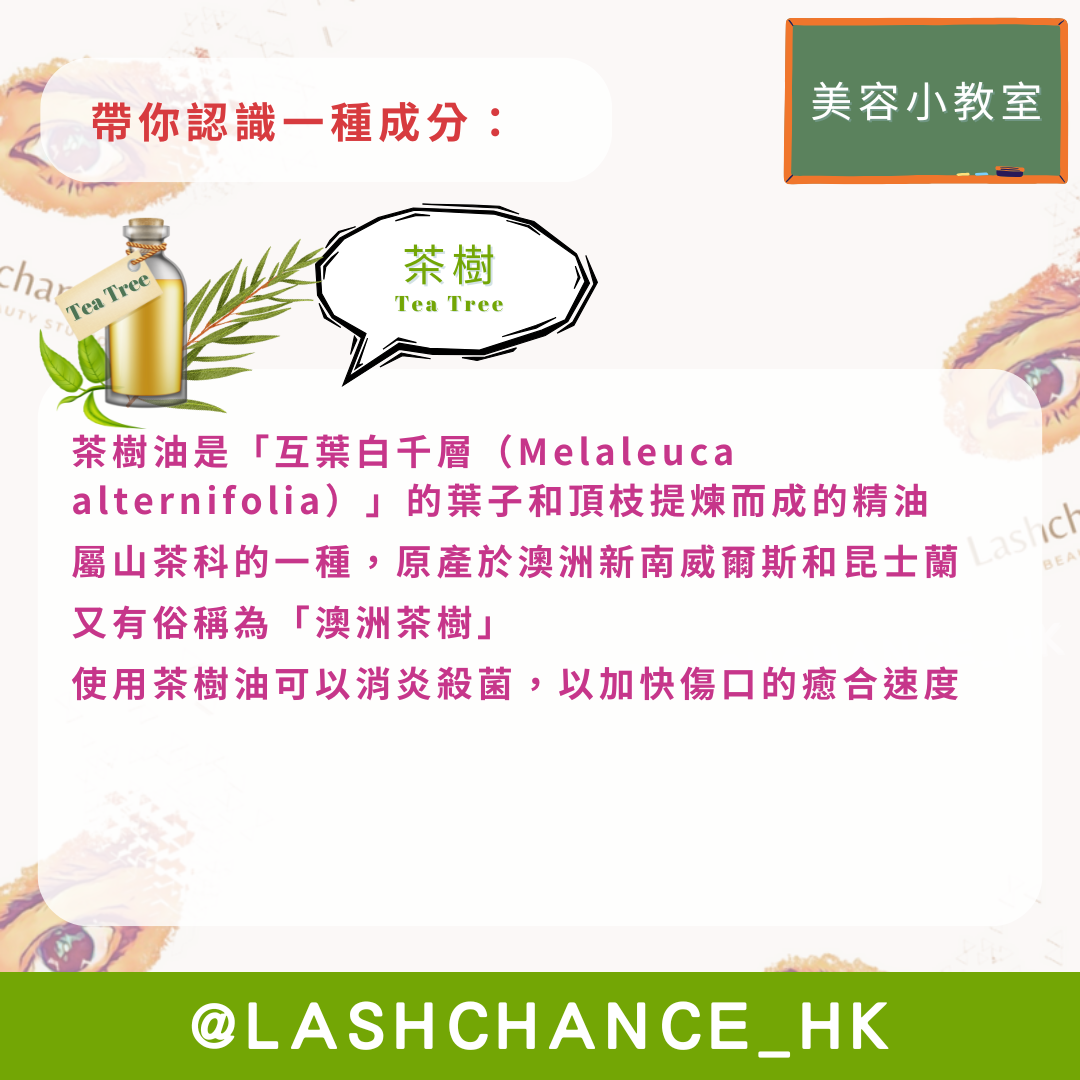 茶樹